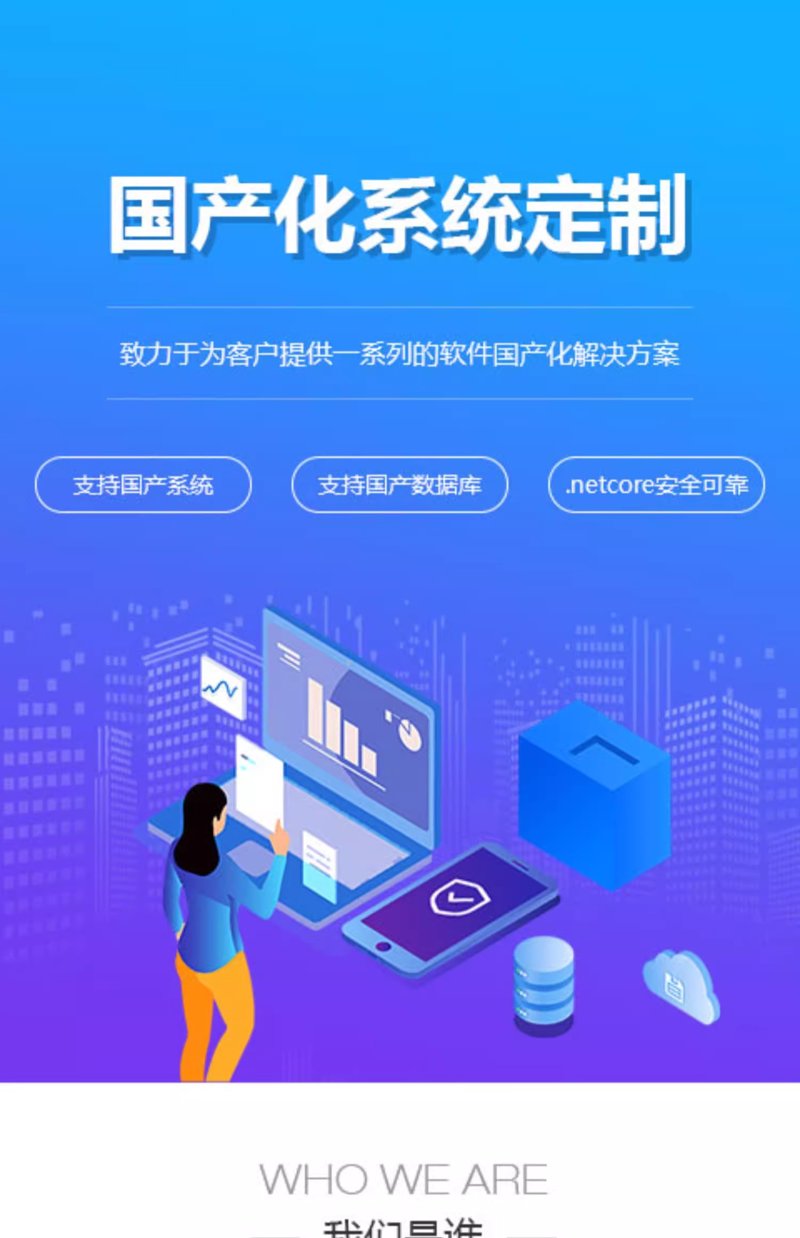 企业信息化系统：成本解析